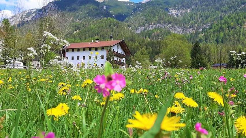 Bauernhof für 4 Personen, mit Garten, kinderfreundlich am Achensee