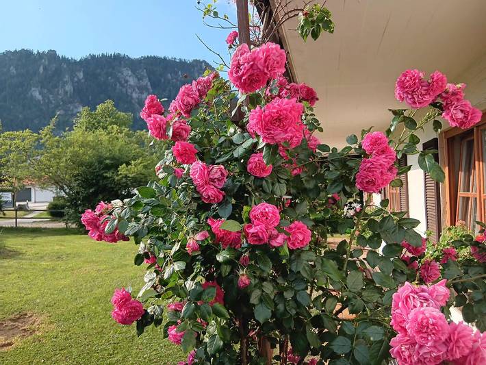Ganze Ferienwohnung, Ferienwohnungen Waldherr (Adlgasser Wirtsfamilie) - Chiemgau Karte - Ferienwohnung Freizeit für 4 Erwachsene und 1 Kind, 2 Schlafzimmer, 60 m² in Inzell, Bayerische Alpen