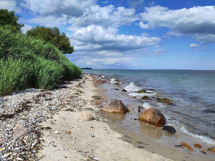 Ferienhaus für 8 Personen, mit Garten und Terrasse, kinderfreundlich in Odder und Umgebung - 3