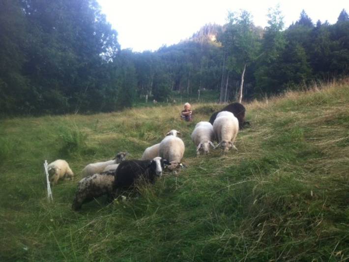 Ferienwohnung für 3 Personen, mit Garten und Balkon sowie Ausblick in Au - 3