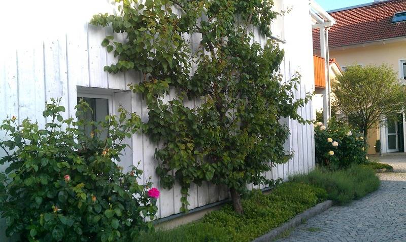 Ferienwohnung für 2 Personen, mit Balkon und Terrasse in Altötting - 3