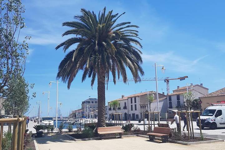 Location de vacances pour 4 personnes, avec terrasse à Marseillan