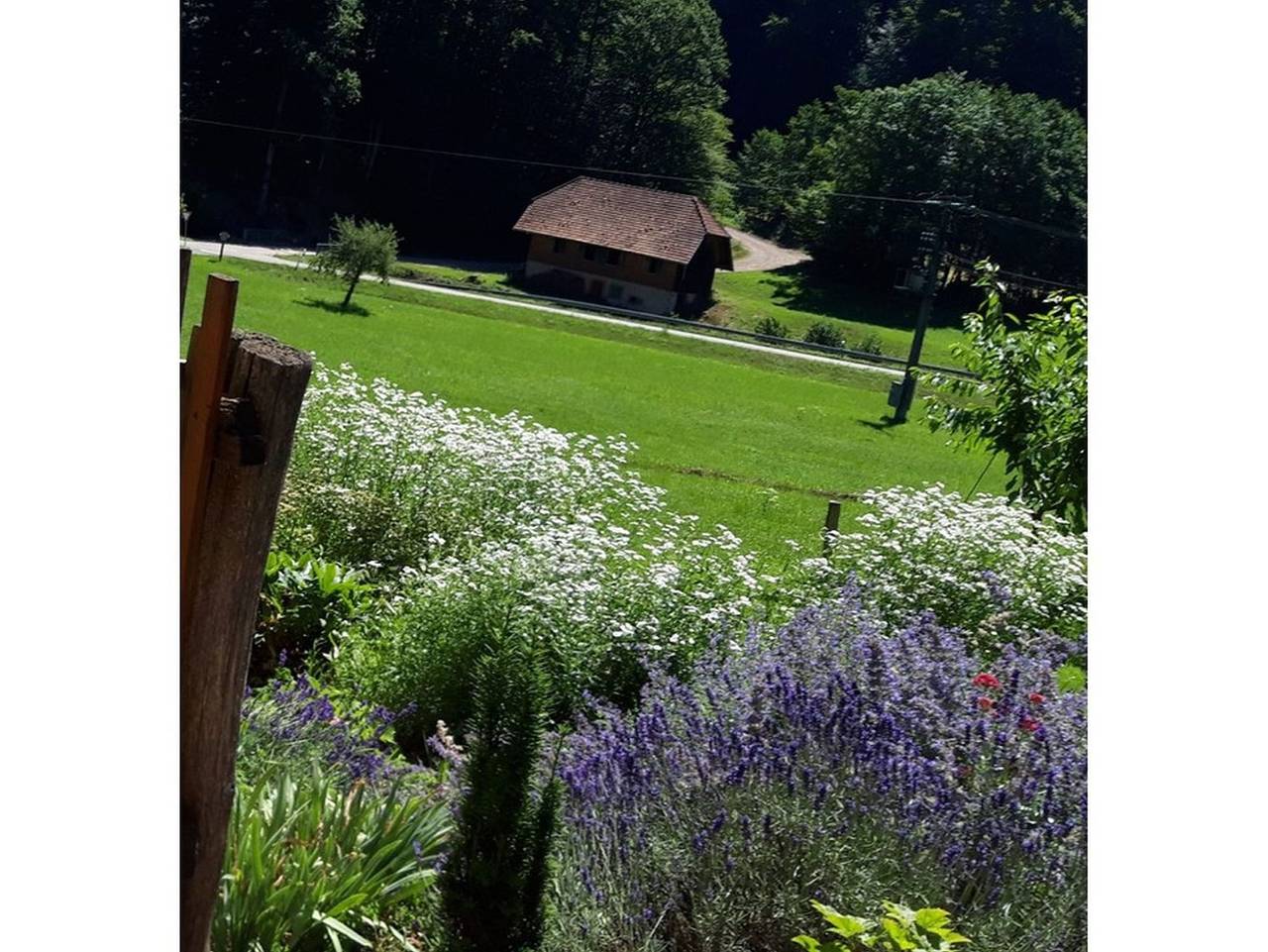 Ganze Ferienwohnung, Offenburger Hof - Ferienwohnung Marlena in Schuttertal, Mittlerer Schwarzwald