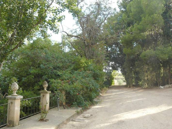 Casa rural para 8 personas, con jardín y piscina además de piscina para niños y jacuzzi en Provincia de Zaragoza - 3