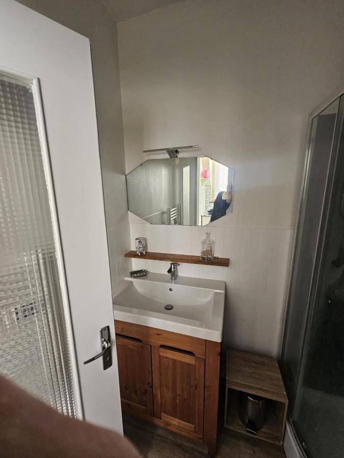 Gîte pour 2 personnes, avec terrasse, animaux acceptés à Sully-sur-Loire - 2