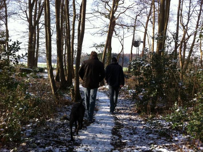 Ferienwohnung für 3 Personen, mit Sauna und Ausblick sowie Terrasse und Garten in Landkreis Grafschaft Bentheim - 2