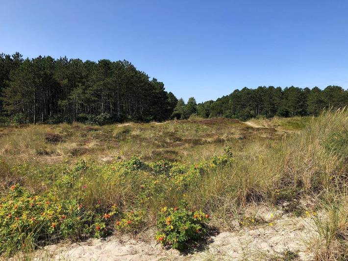 Ferienhaus für 7 Personen, mit Whirlpool und Terrasse, kinderfreundlich in Grenå Strand - 4