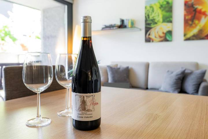 Ferienwohnung für 4 Personen, mit Ausblick und Garten in Bludenz - 3