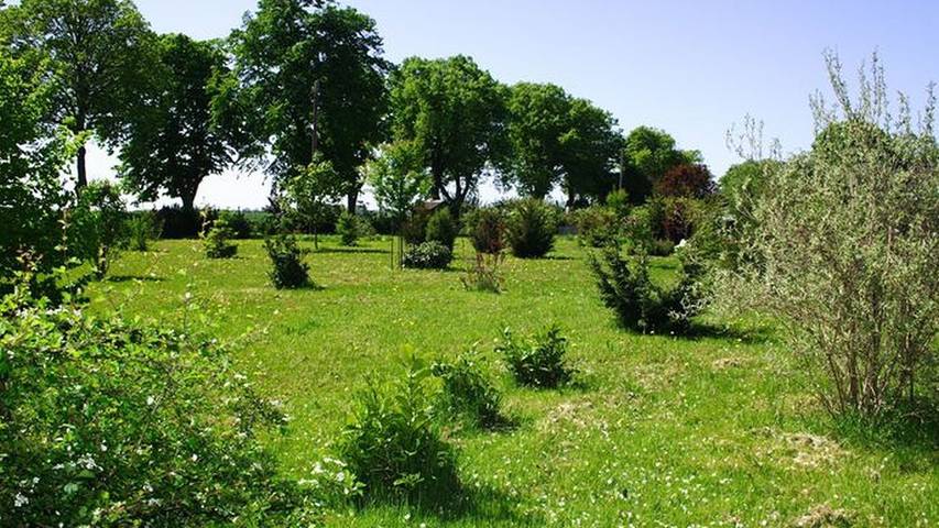 Ferienwohnung für 2 Personen, mit Garten in Groß Mohrdorf - 4