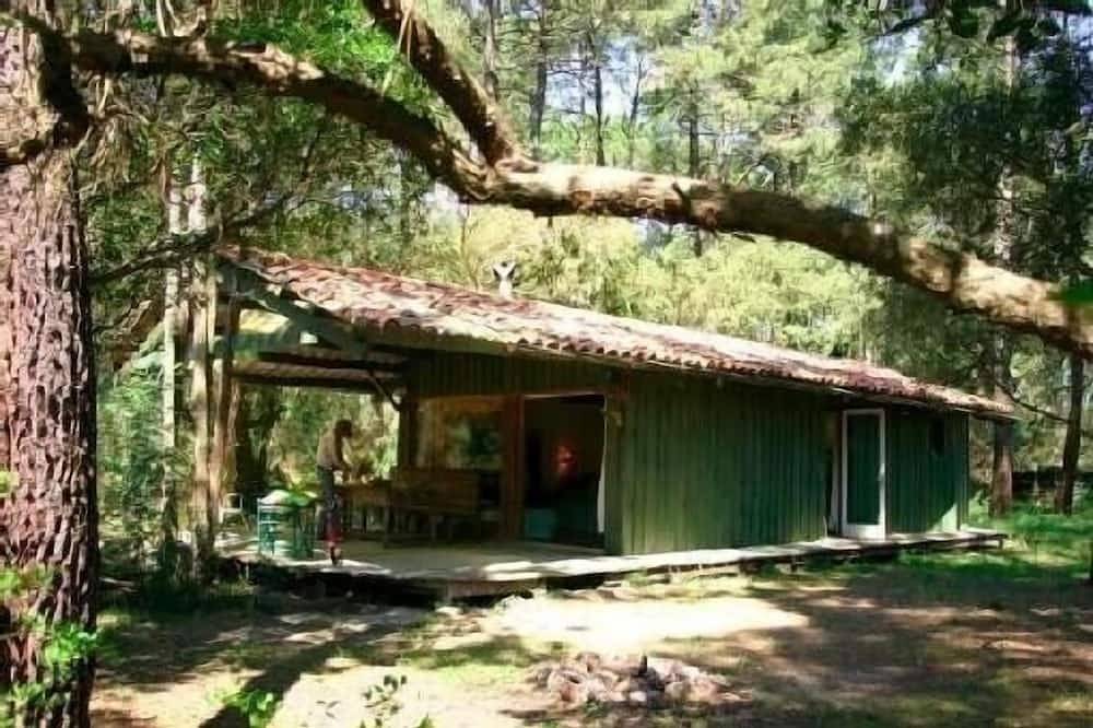 Zwischen Wald, Lac d'Hossegor und Ozean - Charmantes Holzhaus für 5 pers. in Hossegor, Côte d’Argent