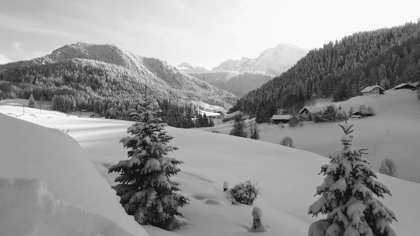 Apartamento vacacional entero, Grechinglehen Fewo Aschauer GdbR - holiday flat for 1-5 pers. 70 sqm, 2 bedrooms in Berchtesgaden, Alpes Bávaros