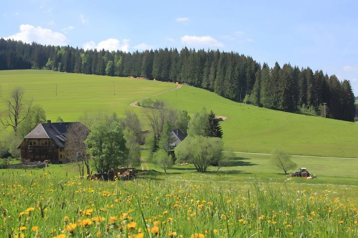Bauernhof für 6 Personen, mit Balkon und Whirlpool sowie Garten und Sauna in Titisee-Neustadt