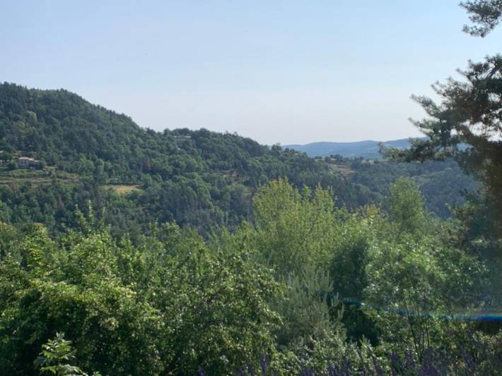 Location de vacances pour 12 personnes, avec jacuzzi et piscine ainsi que terrasse et jardin à Silhac - 2