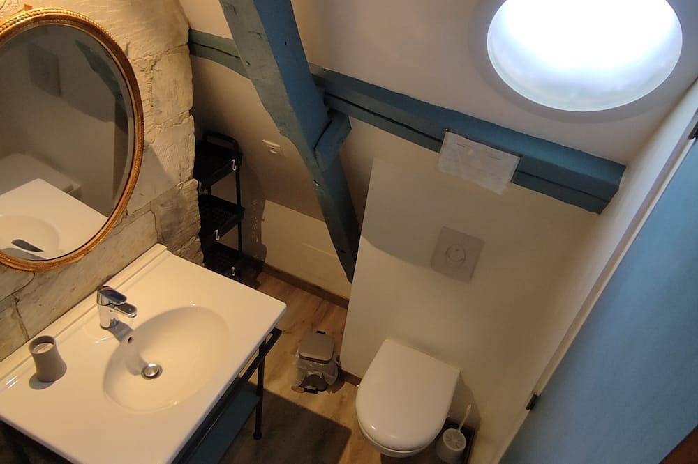 Appartement entier, Loches : mansarde romantique sous un toit du 16ème siècle in Loches, Région de Loches