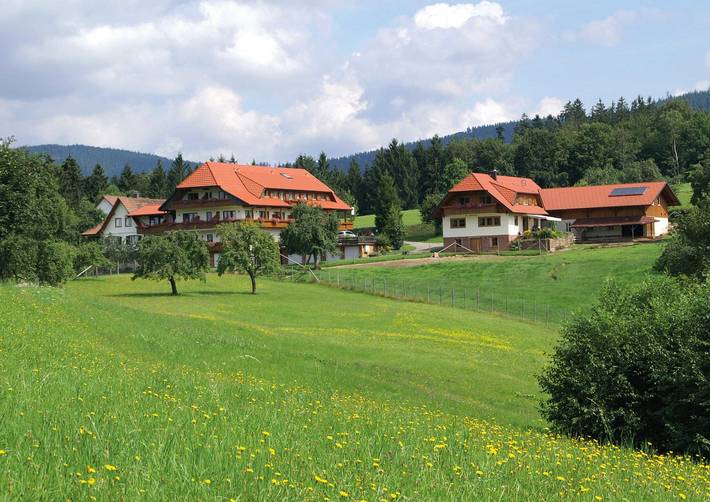 Hotel zum Breitenberg - Doppelzimmer mit Balkon, 28qm in Bad Peterstal-Griesbach, Mittlerer Schwarzwald