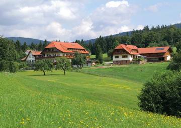 Hotel für 3 Personen in Bad Peterstal-Griesbach, Mittlerer Schwarzwald, Bild 1