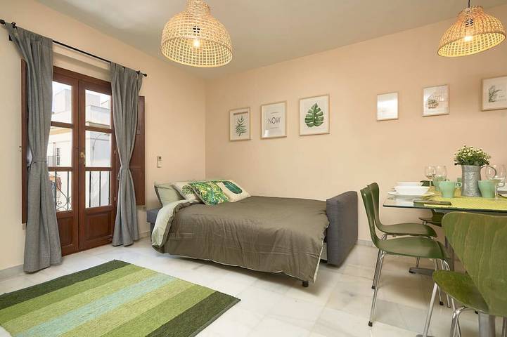 Entire apartment, Castilla 75, Apartment 2 bedrooms 2nd Floor in Central Seville, Sevilla