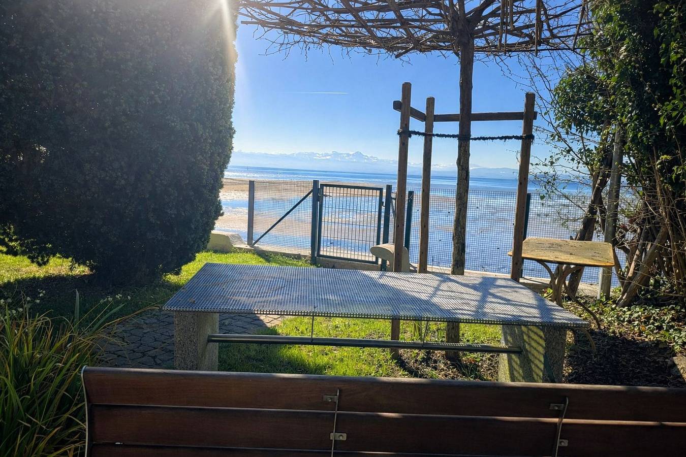 Ganze Ferienwohnung, Am See - Seeufer - Ferienwohnung, ca. 70 qm, 2 Zimmer, mit Garten und direktem Seezugang, max. 4 Personen in Friedrichshafen, Region Bodensee-Oberschwaben