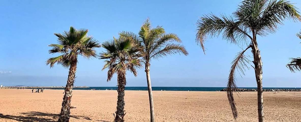 Gîte pour 4 personnes, avec vue ainsi que piscine et jardin à Puissalicon - 2