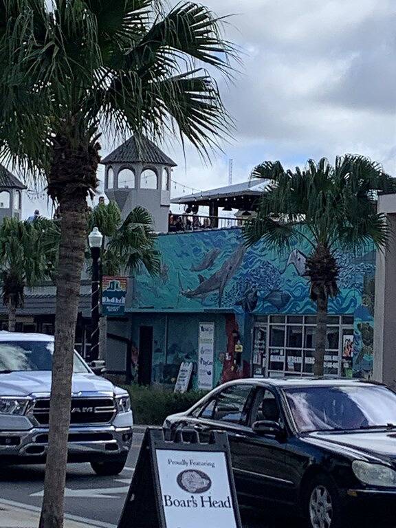 ❤️❤️Cozy Cottage On Central Pet Friendly, 2 Blocks Off Main Street🐈🐩🏡 in New Port Richey, Pasco County