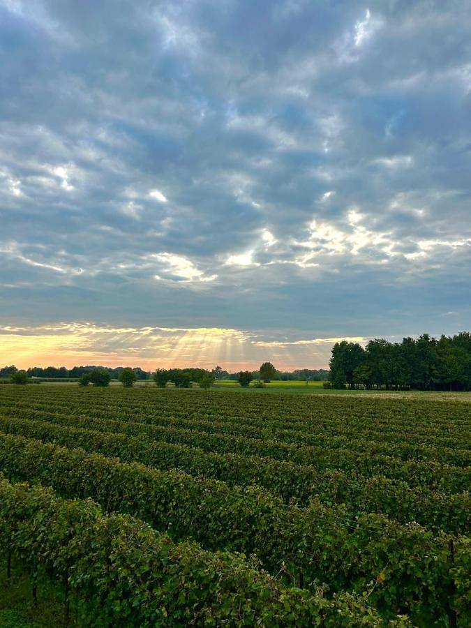 Location de vacances pour 2 personnes, avec vue ainsi que piscine et jardin à San Biagio di Callalta - 4