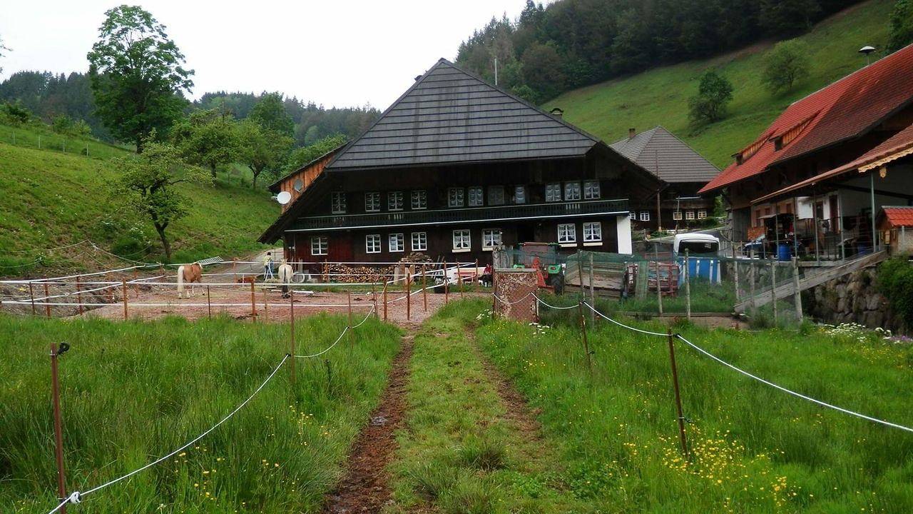 Ganze Ferienwohnung, Ferienwohnung für 4 Personen (75 m²) in Böllen in Schönau im Schwarzwald, Südschwarzwald