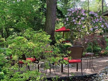 Apartment for 4 Guests in Seattle, Lake Washington, Picture 4