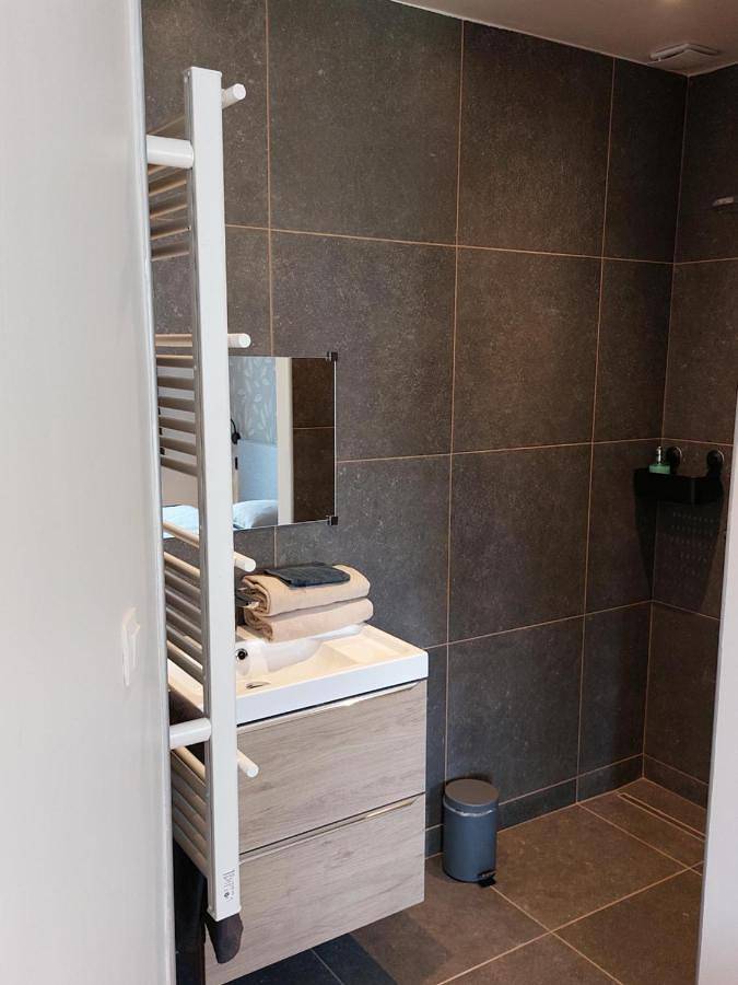 Location de vacances pour 6 personnes, avec piscine et terrasse, animaux acceptés à Herbeumont - 4