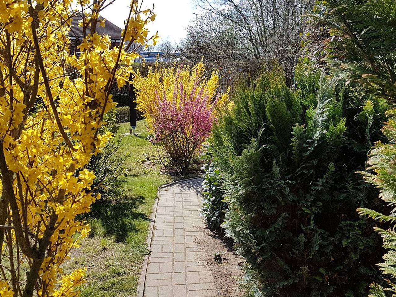 Ganze Ferienwohnung, Holm - Willkommen in der Ferienwohnung Holm in Kühlungsborn in Kühlungsborn, Mecklenburgische Ostseeküste