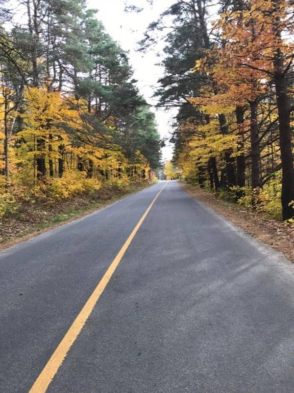4 Season Cottage am Lake Vernon - Perfekt für Familien! in Muskoka