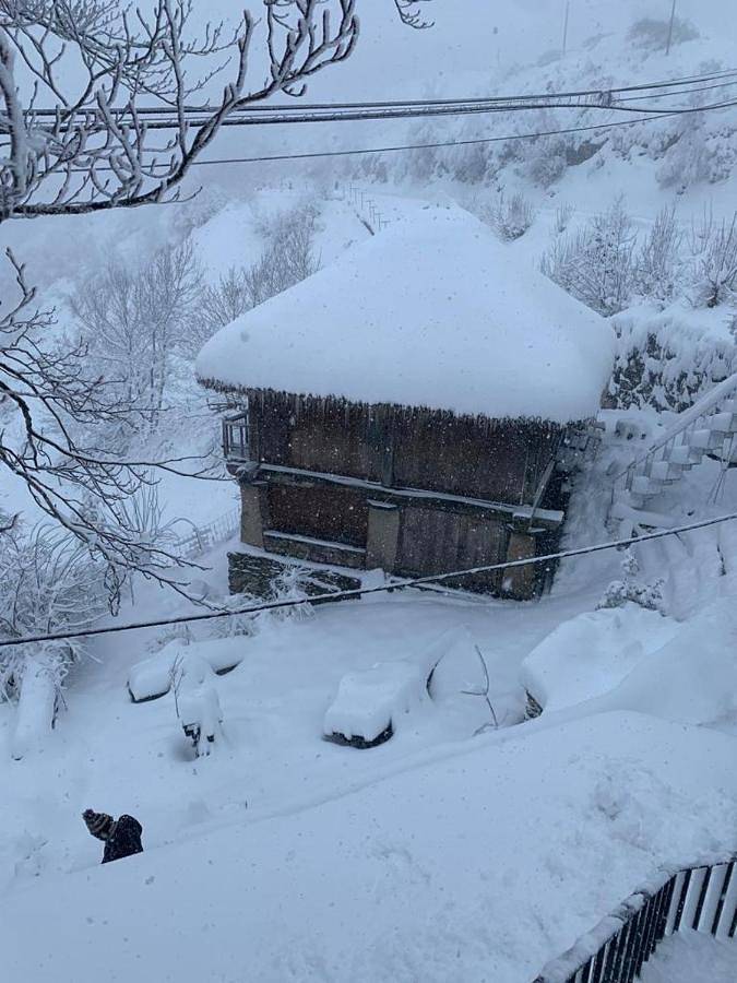 Casa rural para 3 personas, con vistas y jardín en Provincia de Lugo - 4
