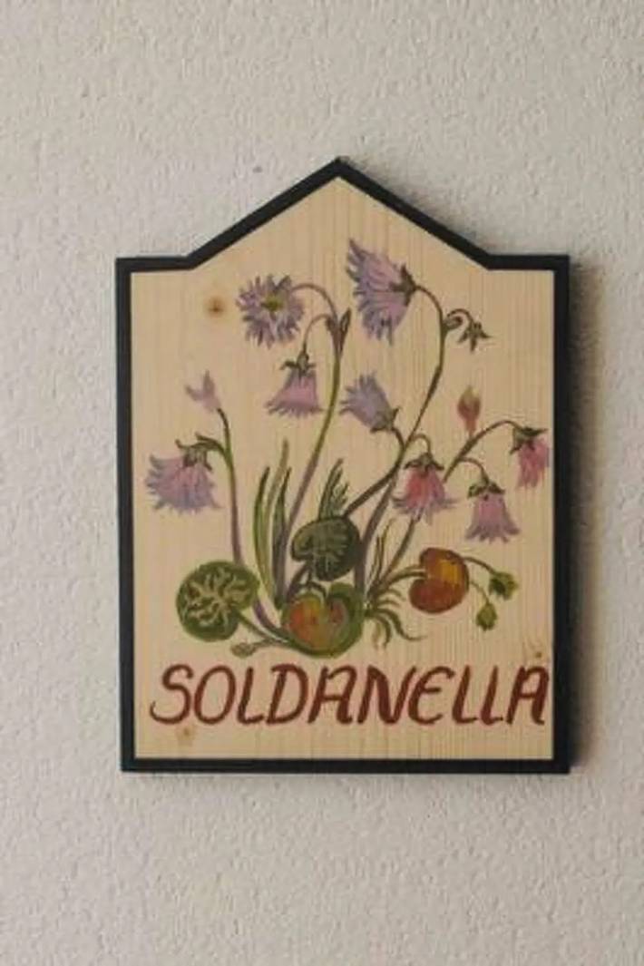 Geheel appartement, 1 Pièce 2 Personnes in Samnaun-Dorf, Samnaun