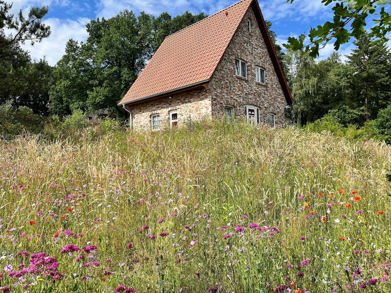 Bispinger Heidezauber - Haus Felsenbirne in Bispingen, Landkreis Heidekreis