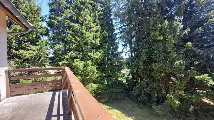 Location de vacances pour 20 personnes, avec jardin et vue, animaux acceptés à Chalmazel - 3