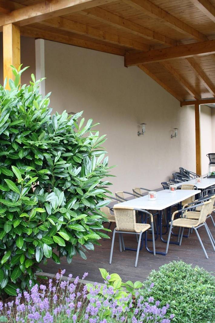 Ferienwohnung für 2 Personen, mit Balkon und Garten in Briedel - 2