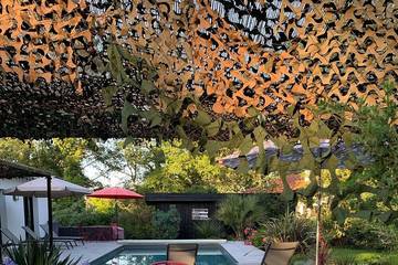 Cottage pour 10 personnes, avec terrasse et jardin à Léognan