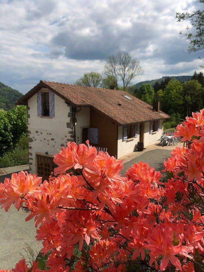 Gîte "Les Azalées" avec vue sur les montagnes in Rupt-sur-Moselle, Région d'Épinal