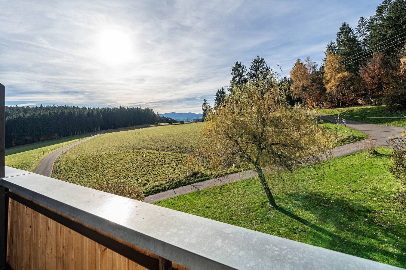 Café Pension Pfaus - 1 Ferienwohnung (4 pax), 3 Doppelzimmer und 1 Dreibettzimmer in Mühlenbach, Mittlerer Schwarzwald