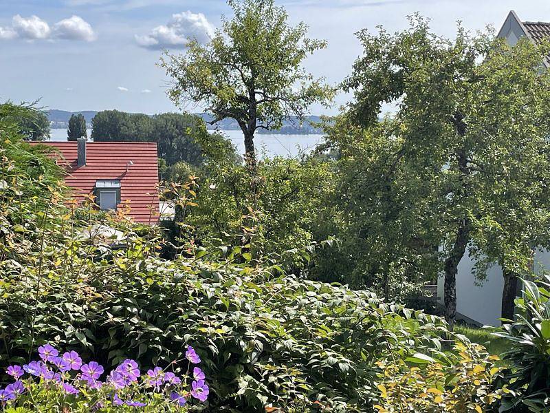 Ganze Ferienwohnung, Haus am Sonnenhang - 2-Zimmer-Fewo, Terrasse, Eg, 50 qm in Gaienhofen, Untersee
