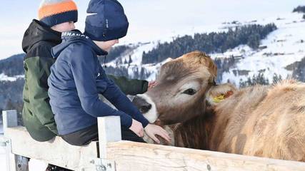 Hütte für 4 Personen in Krumbach (Vorarlberg), Allgäuer Alpen (Österreich), Bild 1