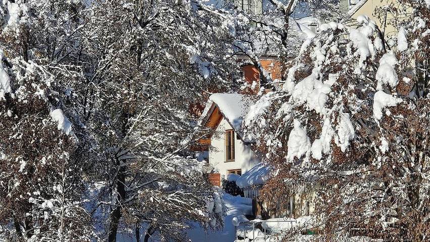 Ferienhaus für 4 Personen, mit Garten und Ausblick sowie Seeblick im Bayerischer Wald