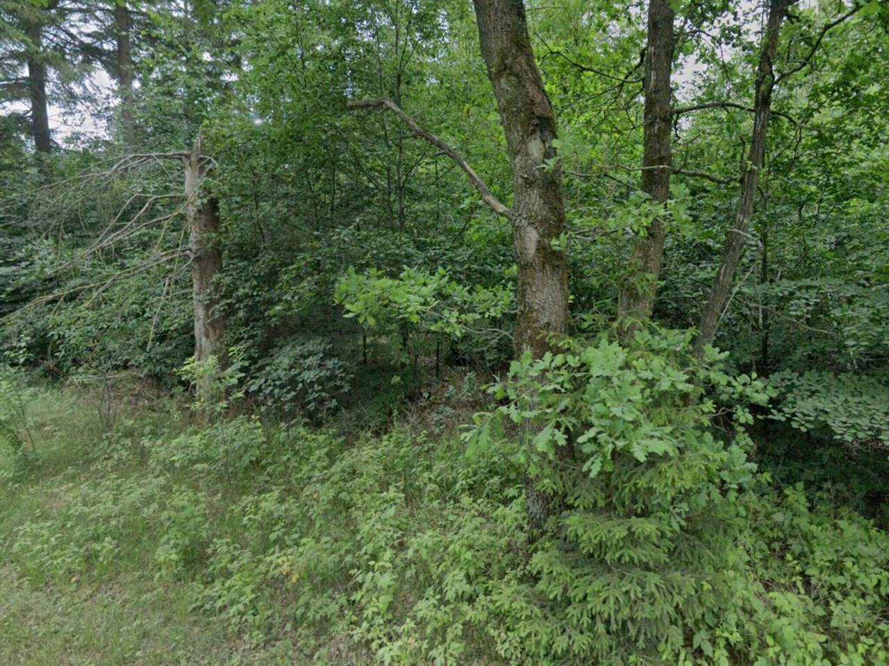 6 Personas casa en Grenaa in Skærbæk, Región de Tønder