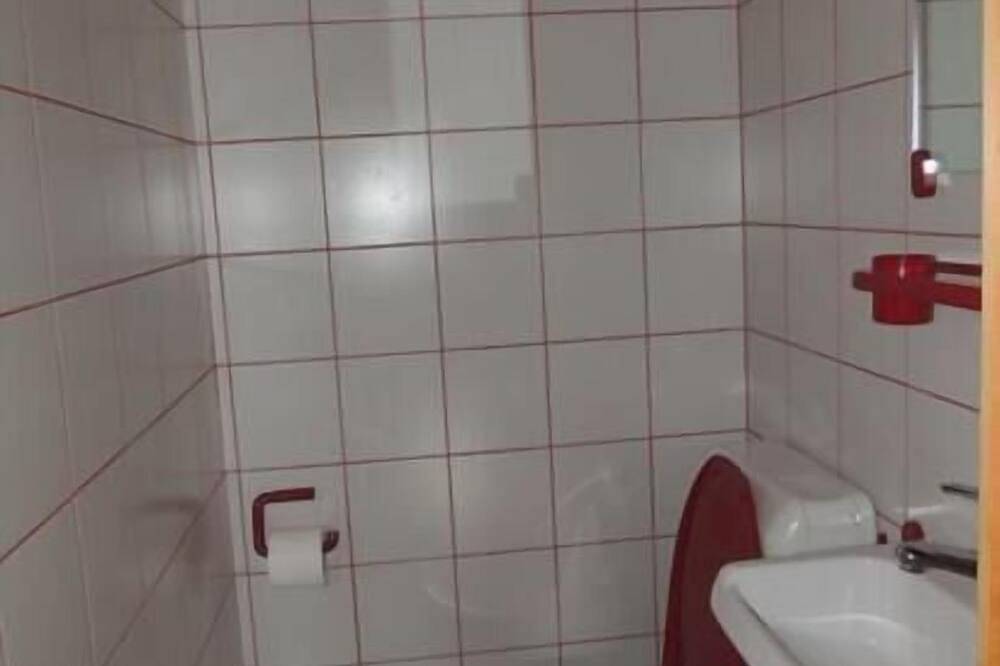 Appartamento intero, 3 pièces confortable pour 4-5 personnes : Living avec canapé-lit - cuisine avec lave-vaisselle - 1 c in Grimentz, Anniviers