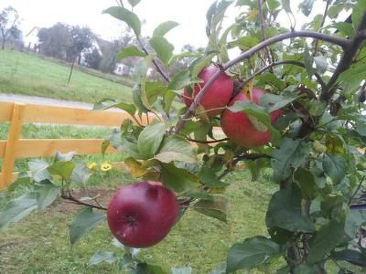 In Libořezy mit Garten und Grill in Stříbřec, Neuhaus und Umgebung