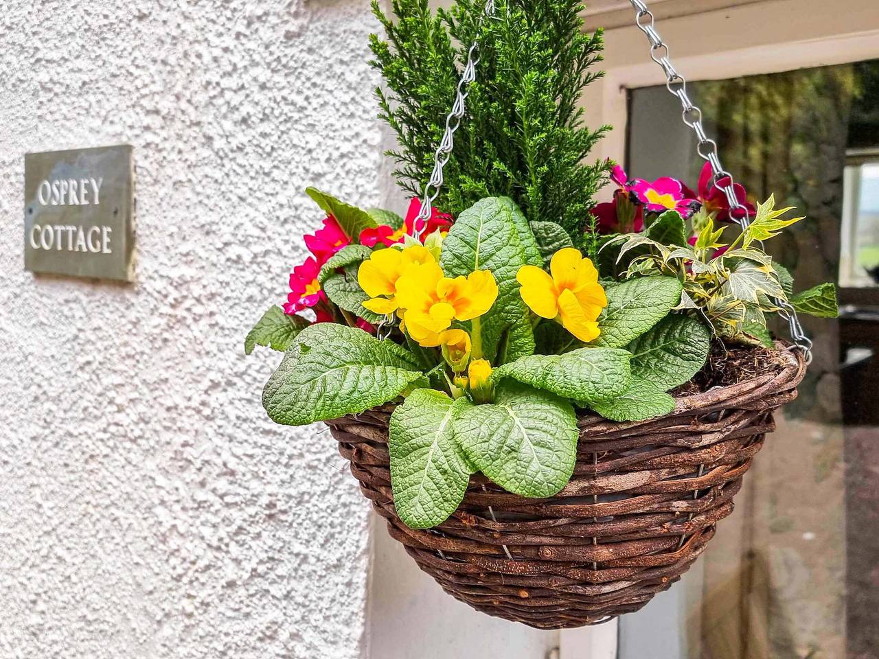 Osprey Cottage in Bassenthwaite, Lake District