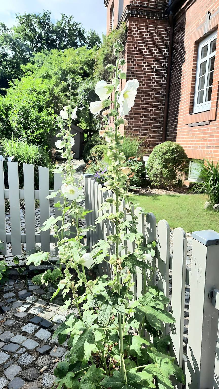 Ganze Wohnung, Altbauvilla nahe Schlosspark mit Terrasse, Garten und Wlan in Eutin, Ostholstein