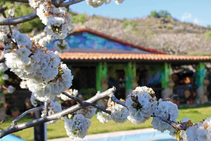Chalet para 5 personas, con vistas además de piscina y jardín en Valle del Jerte - 4