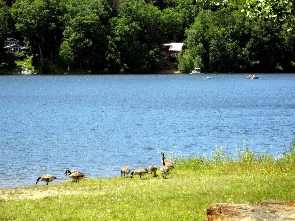 Ruhige komfortable Kabine 5 Min. Zu Fuß zum Schwimmen und Bootfahren in Becket, Berkshire County
