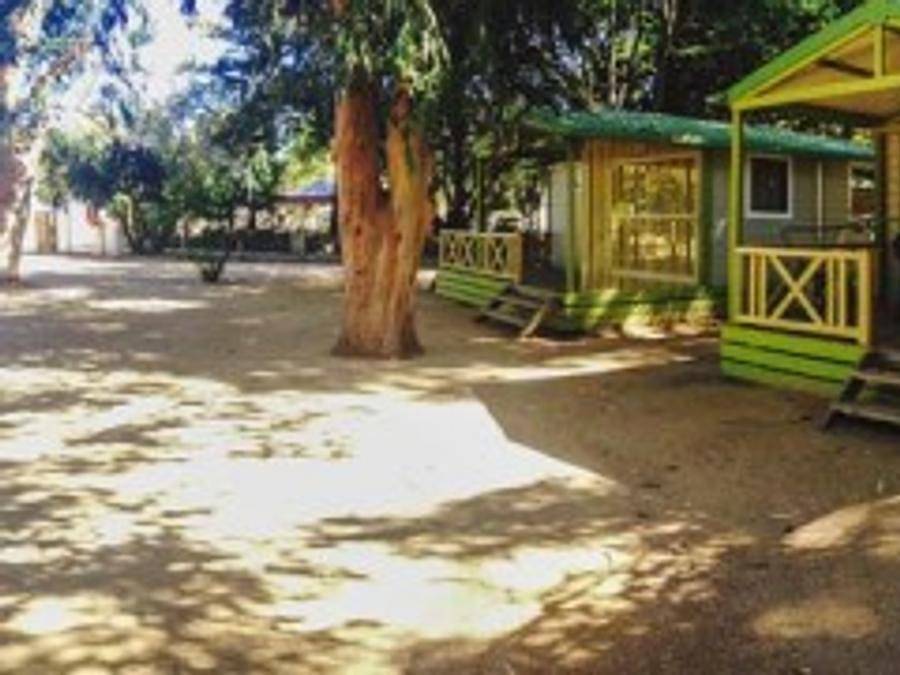 Camping de La Plage - Chalet 4 personen - Tonga in Aregno, Calvi und Umgebung