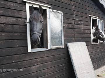 Vakantiehuis voor 15 Personen in Nationaal Park Dwingelderveld, Drenthe, Afbeelding 2